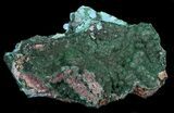 Malachite With Chrysocolla Crystals - Zaire #35639-1